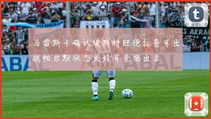 马雷斯卡确认埃斯特旺德拉普可出战帕尔默状态良好可全场出击