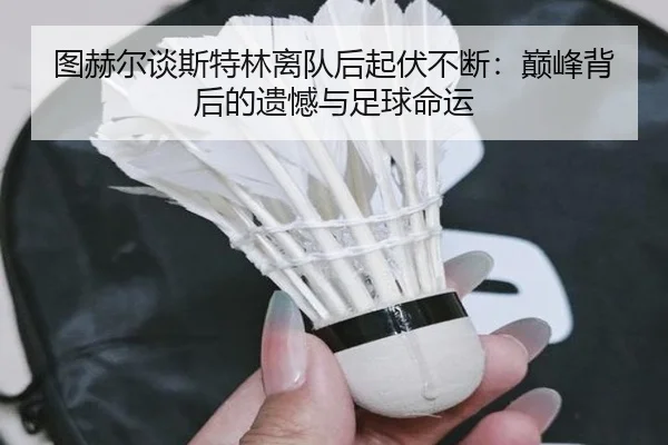 图赫尔谈斯特林离队后起伏不断：巅峰背后的遗憾与足球命运